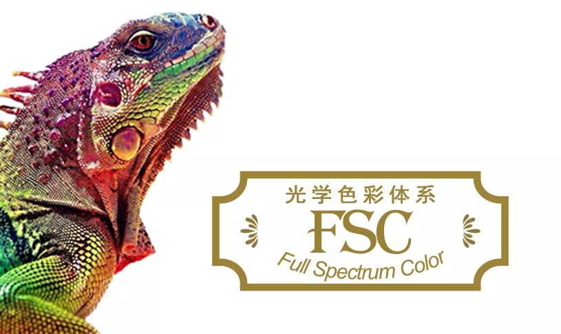 FSCtitle.jpg